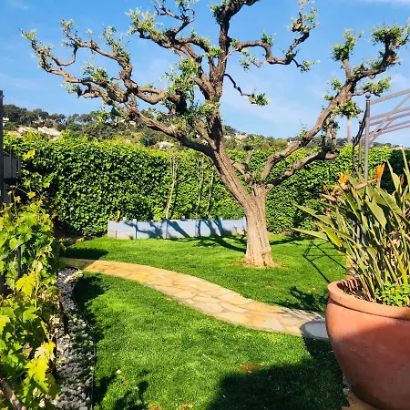 D Hotes Violetta Hyères