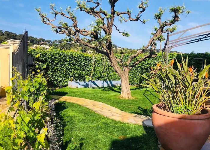 D Hotes Violetta הייר